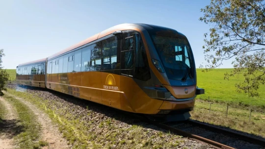 Expedição Bonito & Pantanal - MS - Foto 4