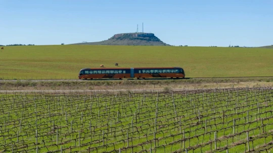 Expedição Bonito & Pantanal - MS - Foto 20