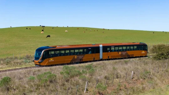 Expedição Bonito & Pantanal - MS - Foto 3