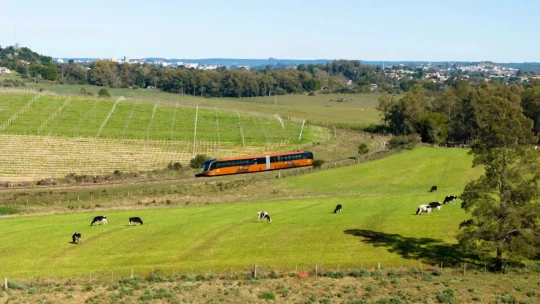 Expedição Bonito & Pantanal - MS - Foto 11