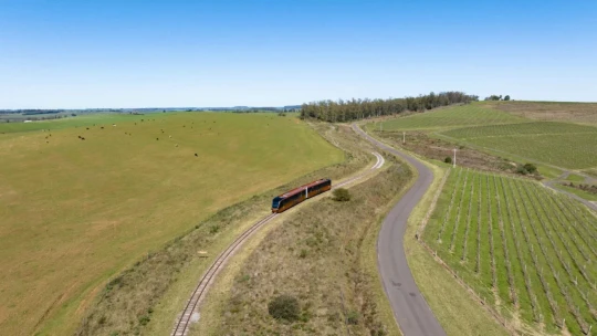 Expedição Bonito & Pantanal - MS - Foto 5