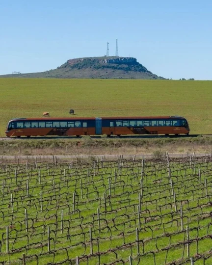 Expedição Bonito & Pantanal - MS - Foto 9