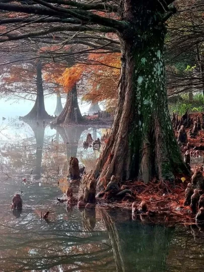 Expedição Bonito & Pantanal - MS - Foto 17