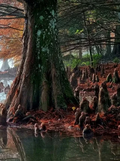 Expedição Bonito & Pantanal - MS - Foto 12