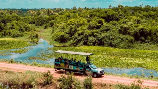 Expedição Bonito & Pantanal - MS - Foto 3
